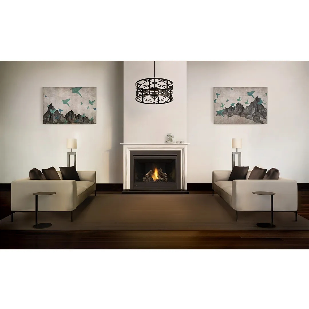 CONTINENTAL CONTINENTAL CB42 Builder Series Direct Vent Gas Fireplace CONTINENTAL CONTINENTAL CB42 Builder Series Direct Vent Gas Fireplace