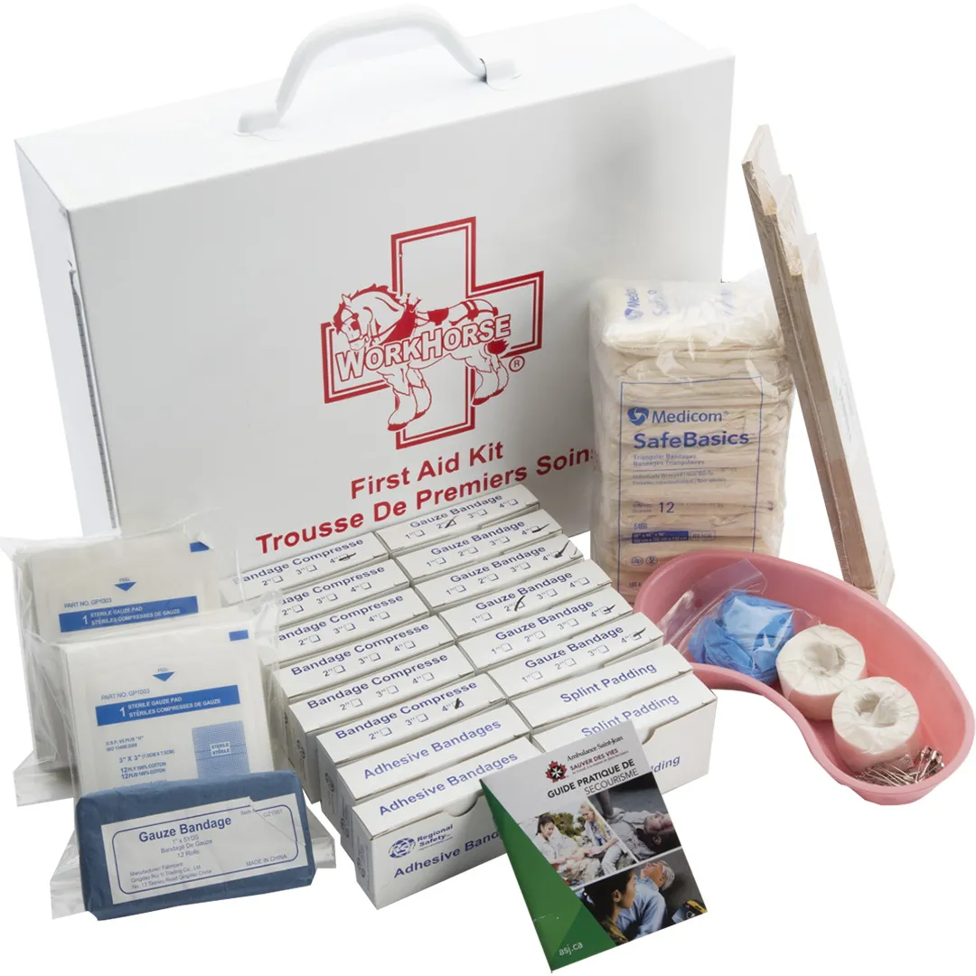 MCCORDICK MCCORDICK First Aid Kit Ontario For 6-15 Employees MCCORDICK MCCORDICK First Aid Kit Ontario For 6-15 Employees